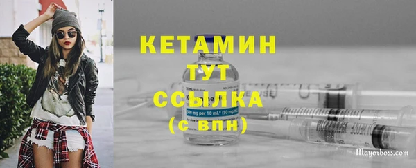 стаф Аркадак