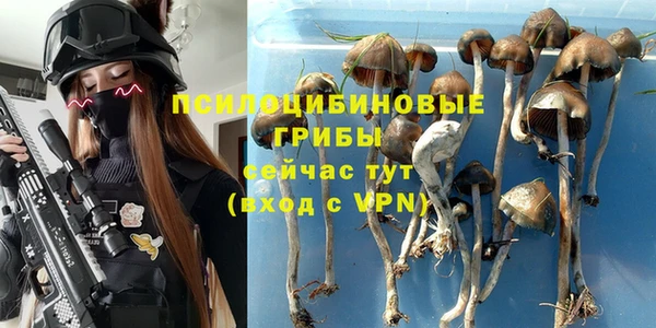 метадон Армянск