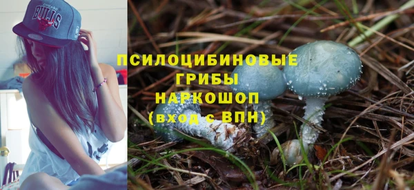стаф Аркадак