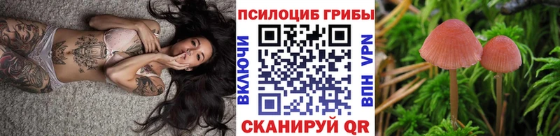 Галлюциногенные грибы GOLDEN TEACHER блэк спрут ТОР Аша наркотики