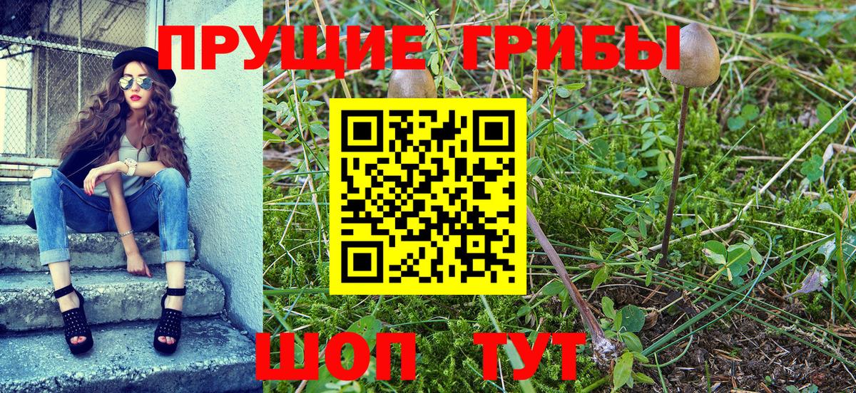 Псилоцибиновые грибы мухоморы  Галлюциногенные грибы Psilocybine cubensis  Вход с VPN  Аша 